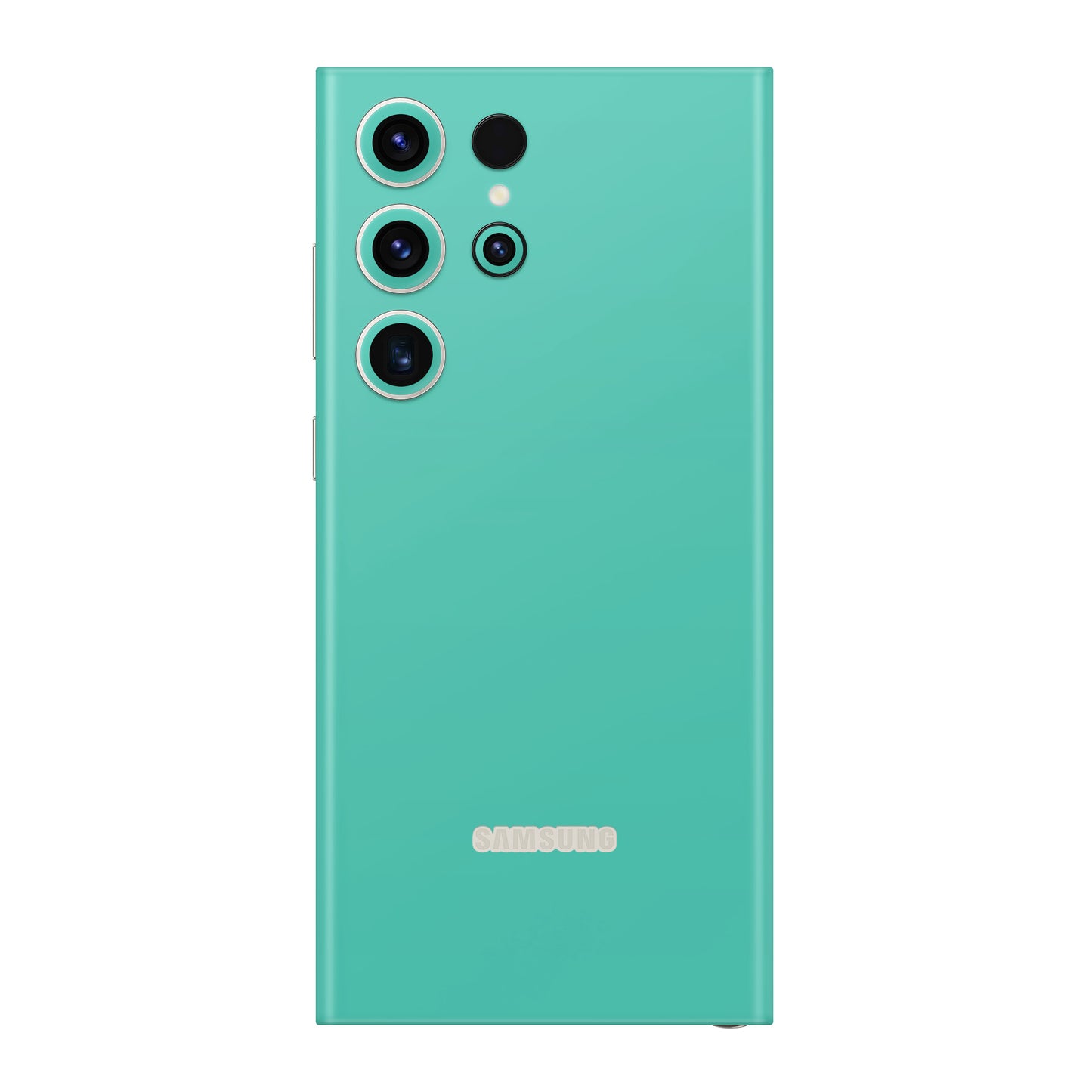 Skin Samsung Galaxy S22 Ultra, Matt Mint Green