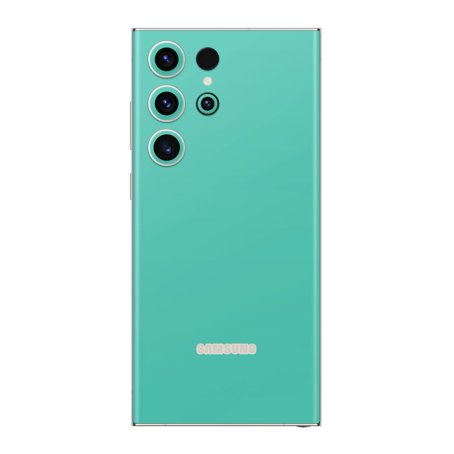 Skin Samsung Galaxy S22 Ultra, Matt Mint Green